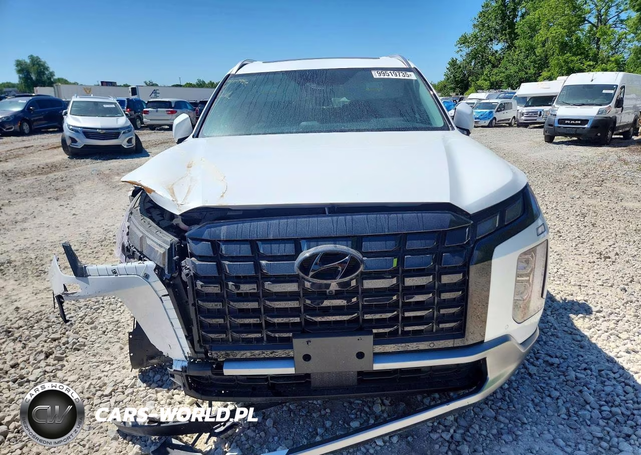 2025 Hyundai Palisade Sel Premium VIN:KM8R4DGE1SU919761 - 5