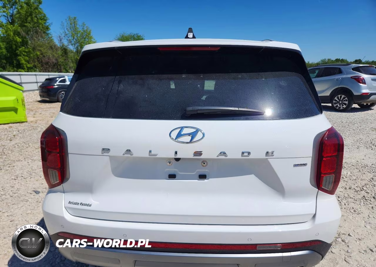 2025 Hyundai Palisade Sel Premium VIN:KM8R4DGE1SU919761 - 6