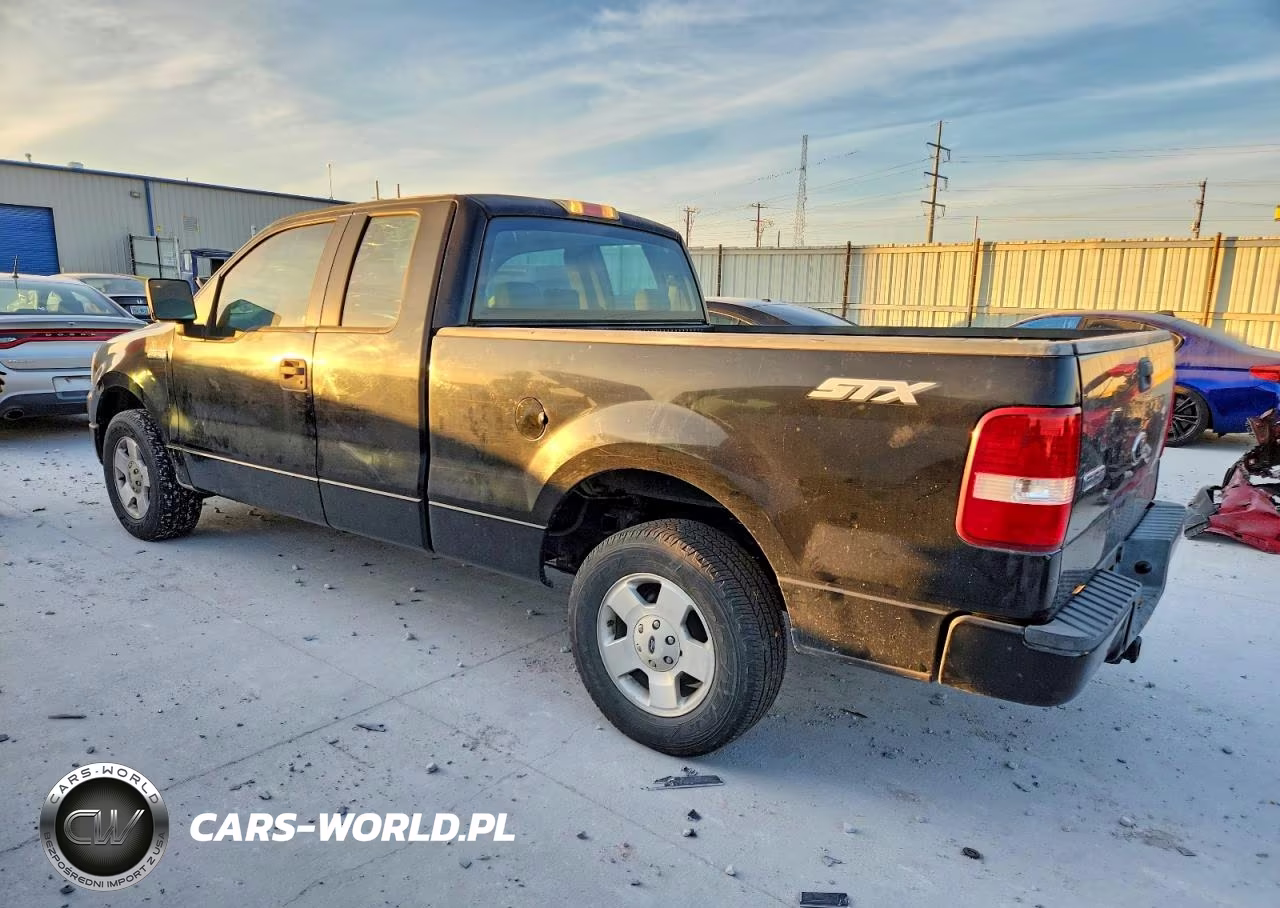 2005 Ford F-150 VIN:1FTRX12W95NA59780 - 2