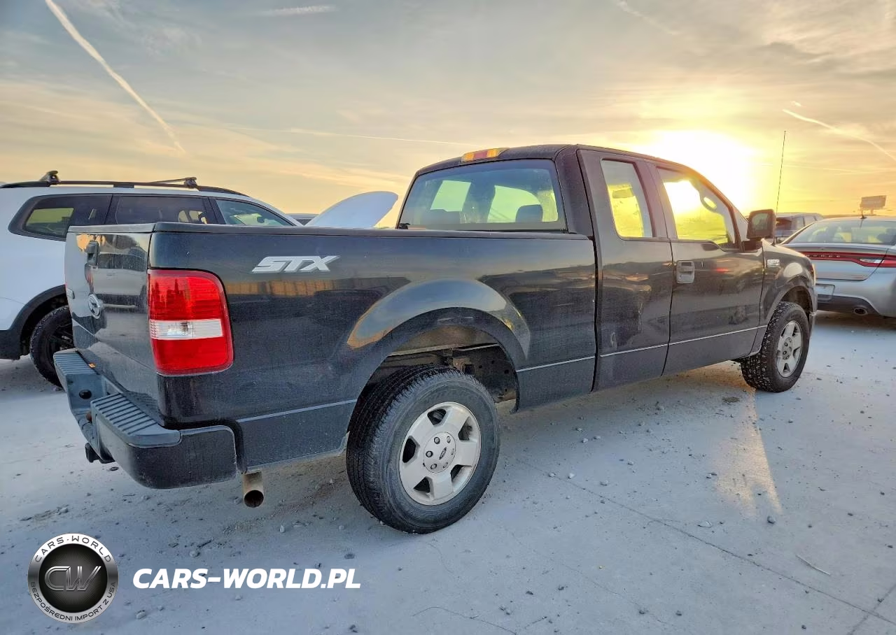 2005 Ford F-150 VIN:1FTRX12W95NA59780 - 3
