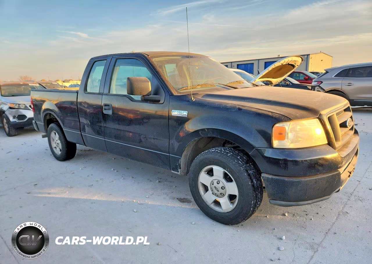 2005 Ford F-150 VIN:1FTRX12W95NA59780 - 4