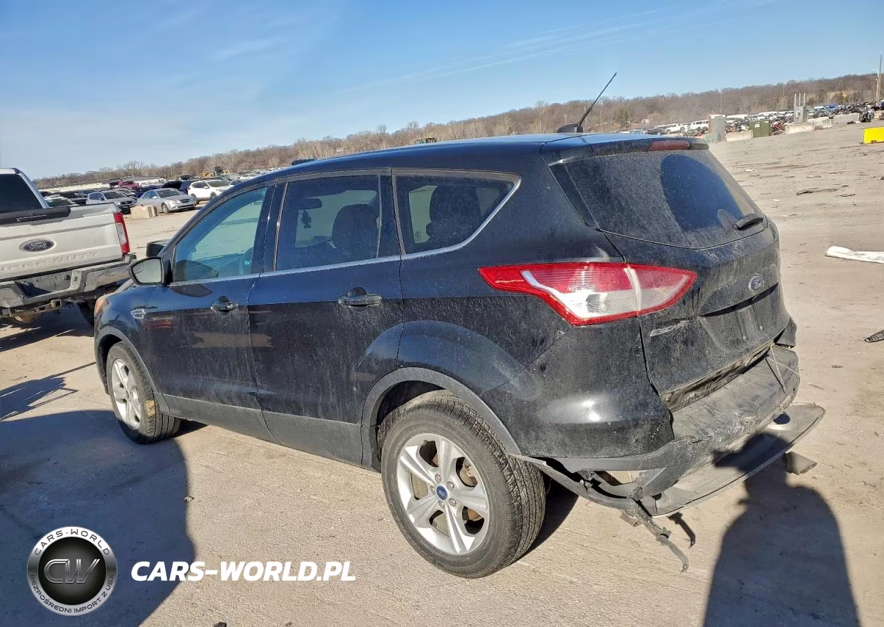 2015 Ford Escape Se VIN:1FMCU0G72FUA17318 - 2