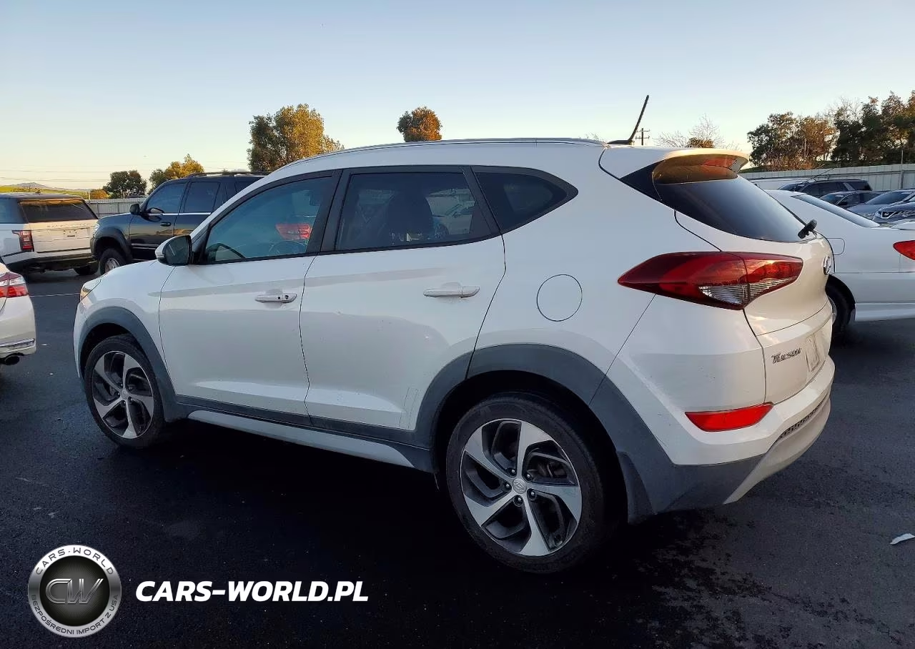 2017 Hyundai Tucson Limited VIN:KM8J33A29HU470105 - 2