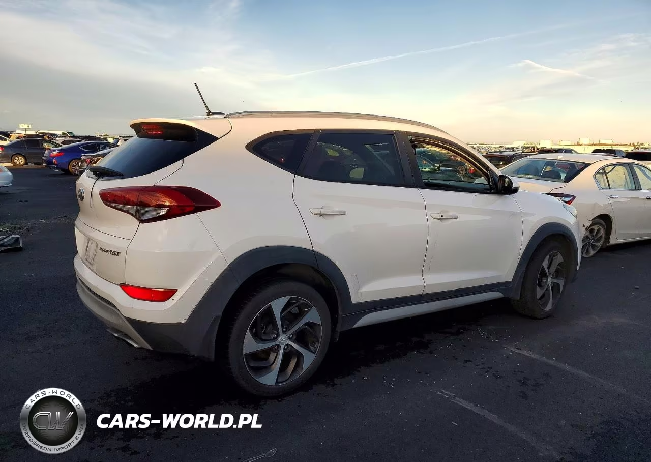 2017 Hyundai Tucson Limited VIN:KM8J33A29HU470105 - 3