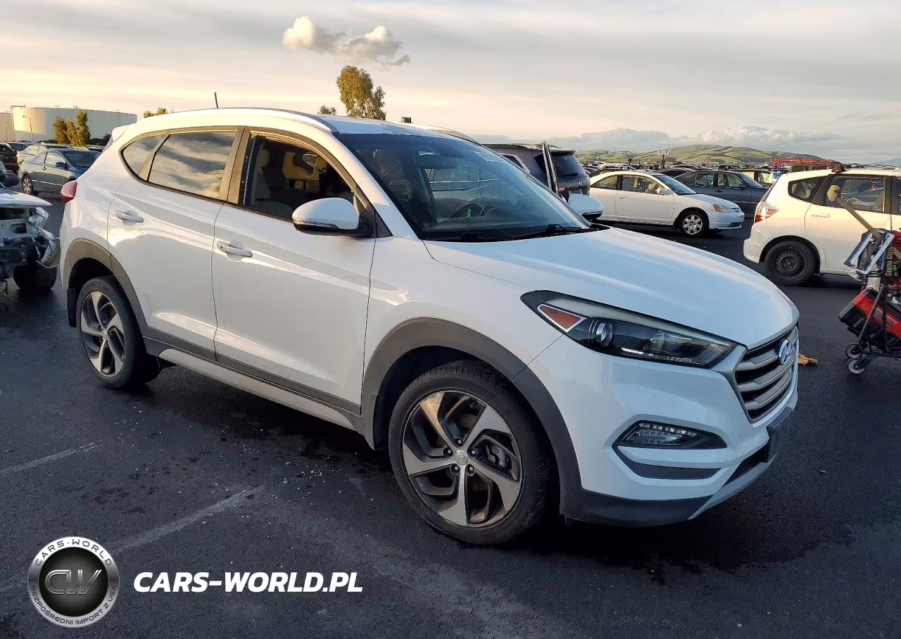 2017 Hyundai Tucson Limited VIN:KM8J33A29HU470105 - 4