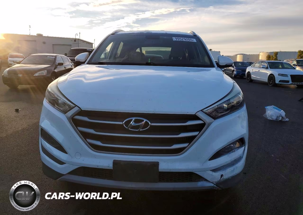 2017 Hyundai Tucson Limited VIN:KM8J33A29HU470105 - 5