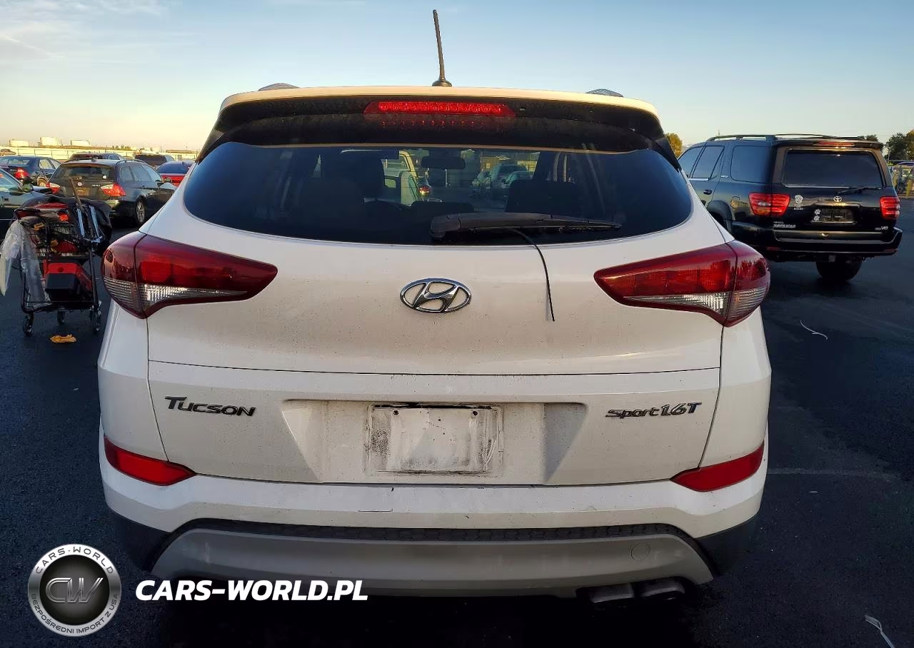 2017 Hyundai Tucson Limited VIN:KM8J33A29HU470105 - 6