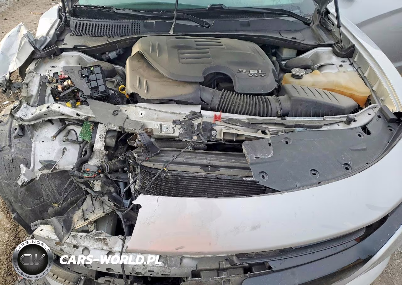 DODGE CHARGER VIN:2C3CDXBG0NH114480 - 11