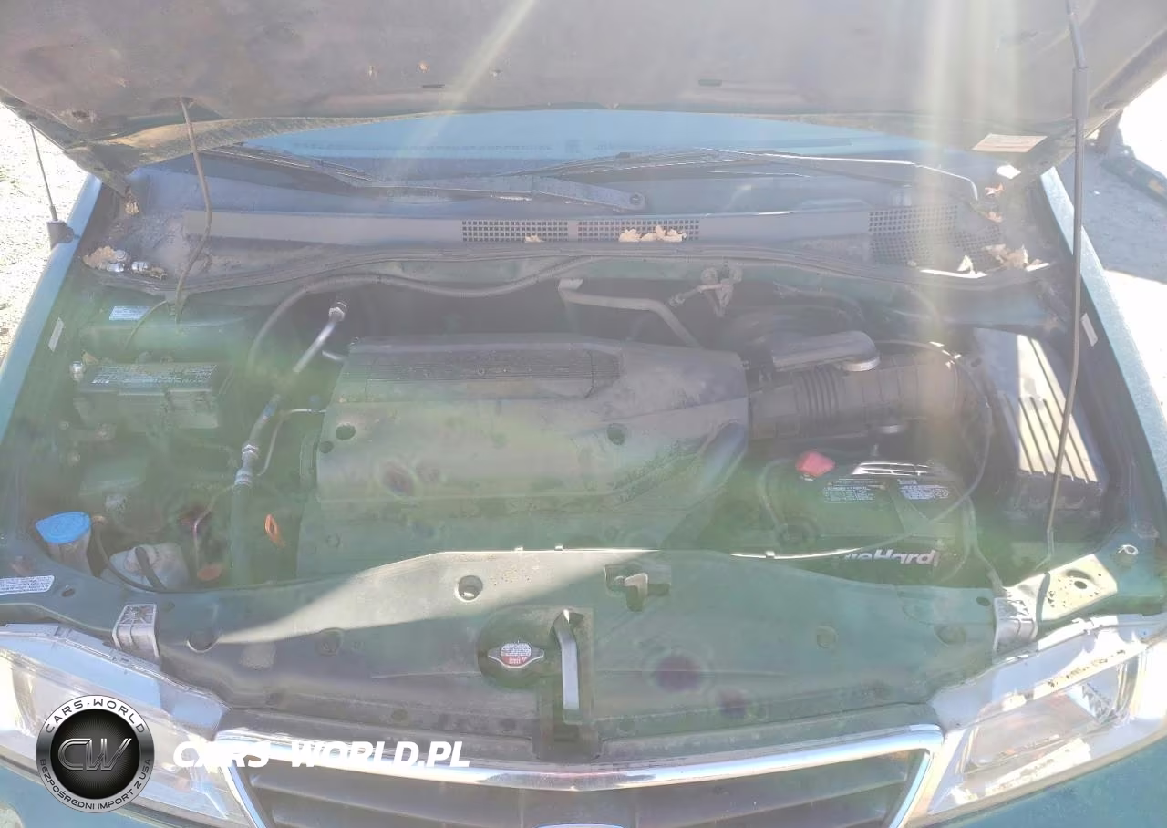 2002 Honda Odyssey Exl VIN:5FNRL18982B009248 - 12