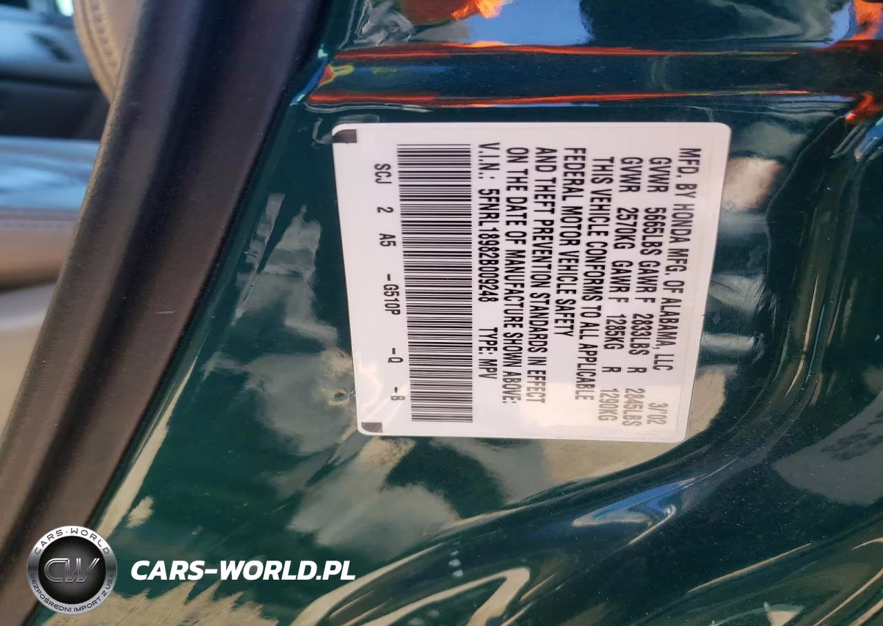 2002 Honda Odyssey Exl VIN:5FNRL18982B009248 - 13