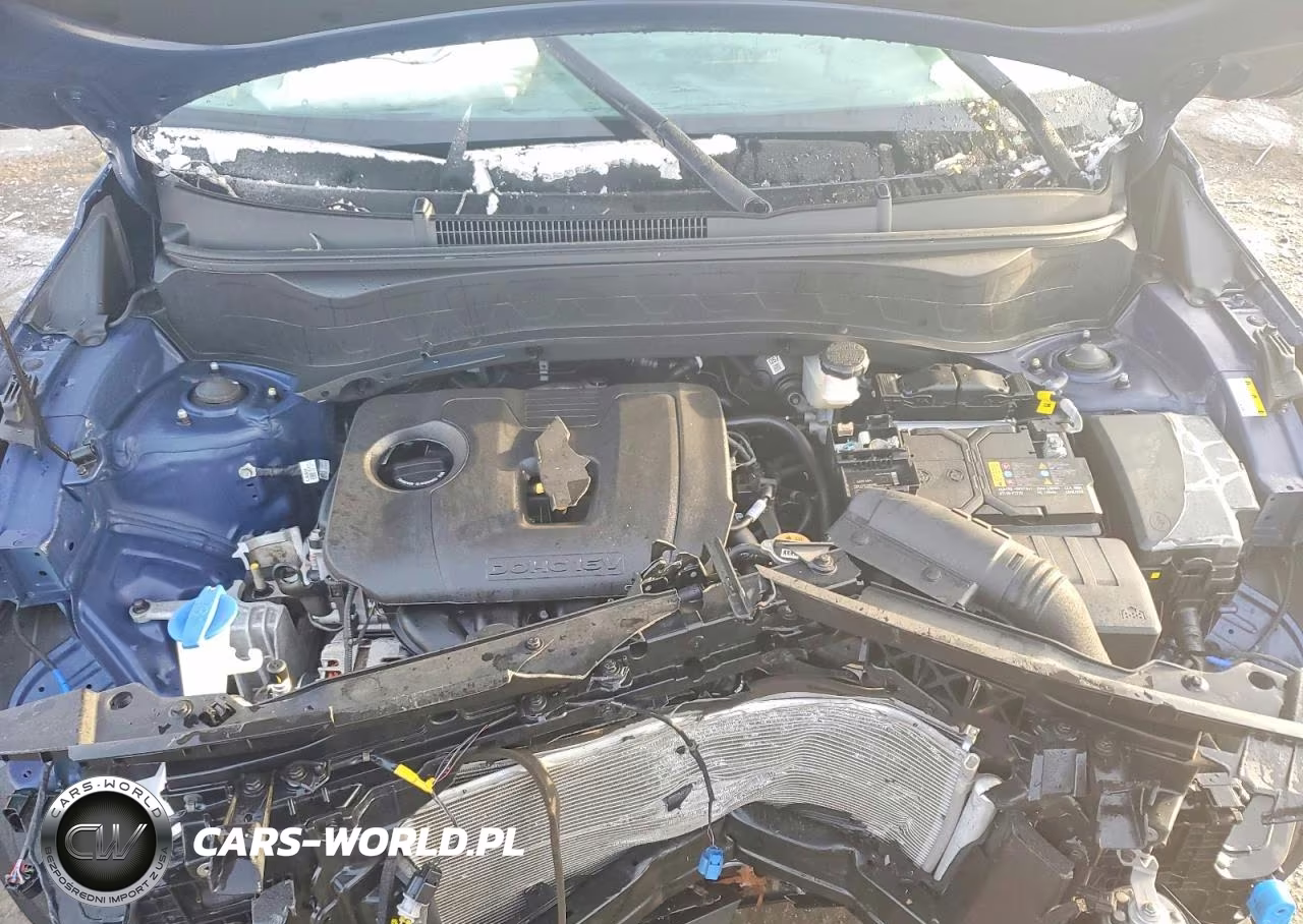 2024 Kia Seltos S VIN:KNDEUCAA7R7535916 - 12