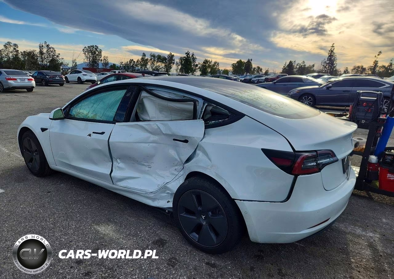 2021 Tesla Model 3 VIN:5YJ3E1EA4MF873960 - 2