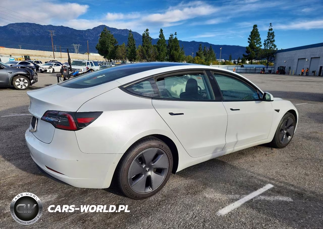 2021 Tesla Model 3 VIN:5YJ3E1EA4MF873960 - 3