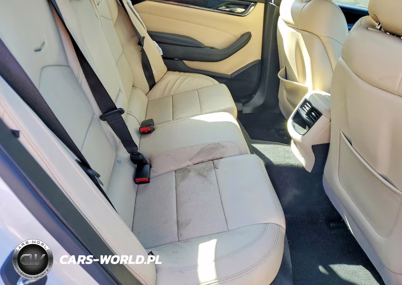 2019 Cadillac Cts Luxury VIN:1G6AX5SX8K0143453 - 10