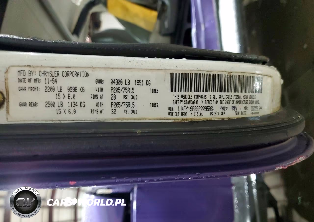 1995 Jeep Wrangler - Yj S-Rio Grande VIN:1J4FY19P8SP229586 - 12