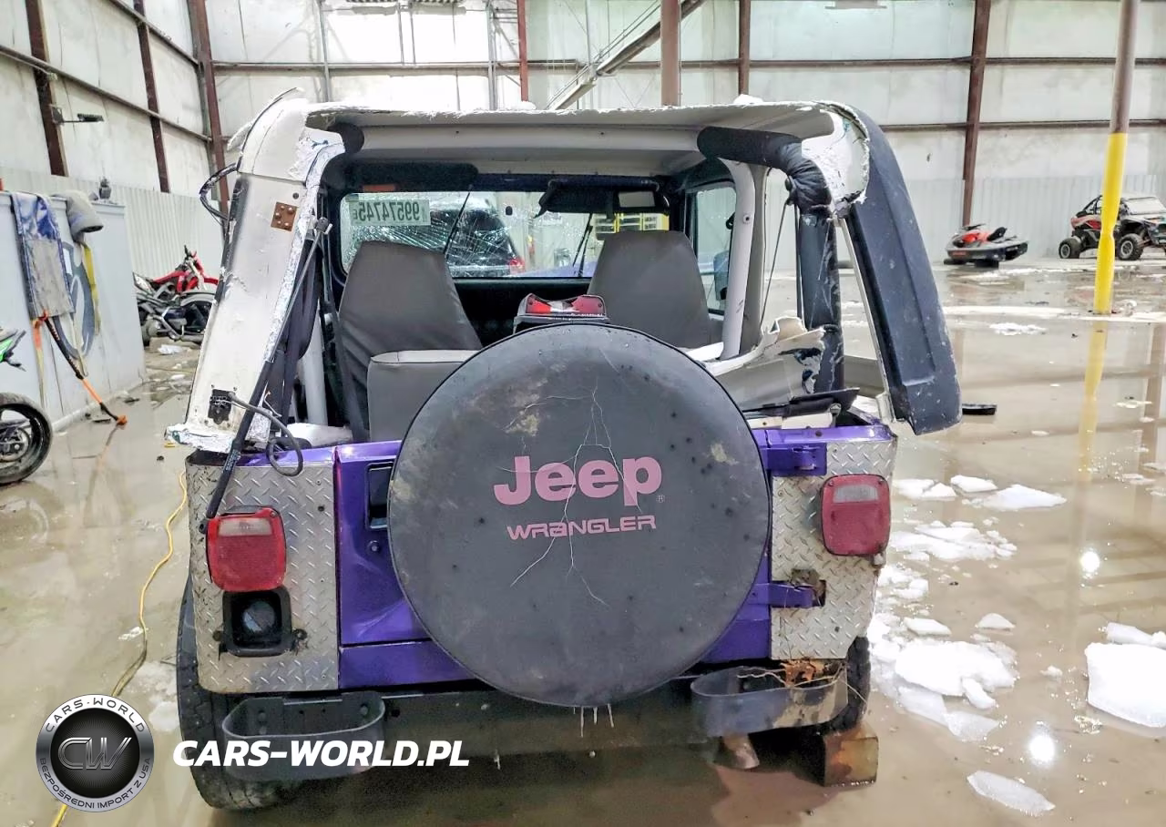 1995 Jeep Wrangler - Yj S-Rio Grande VIN:1J4FY19P8SP229586 - 6