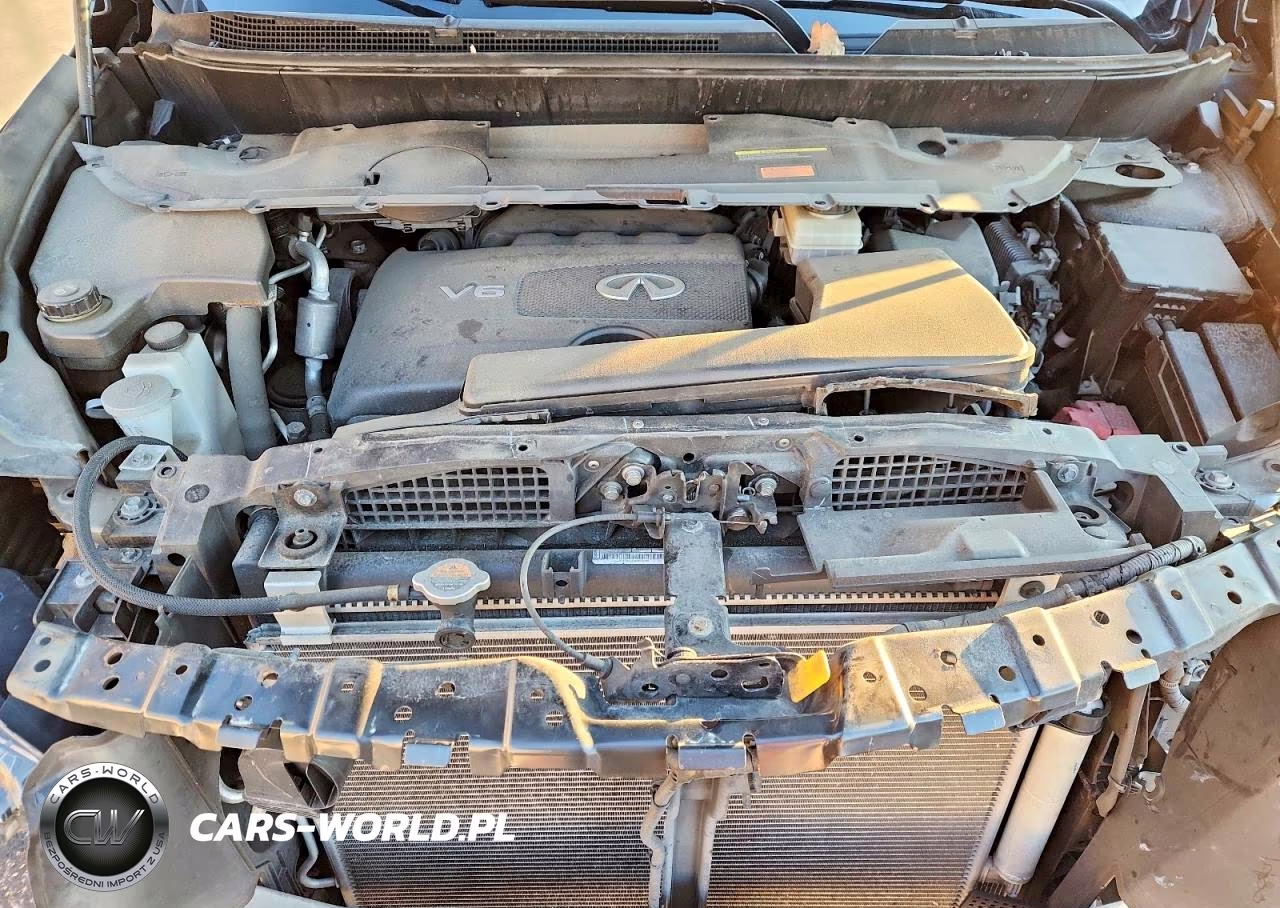 2020 Infiniti Qx60 Pure VIN:5N1DL0MM7LC528929 - 12