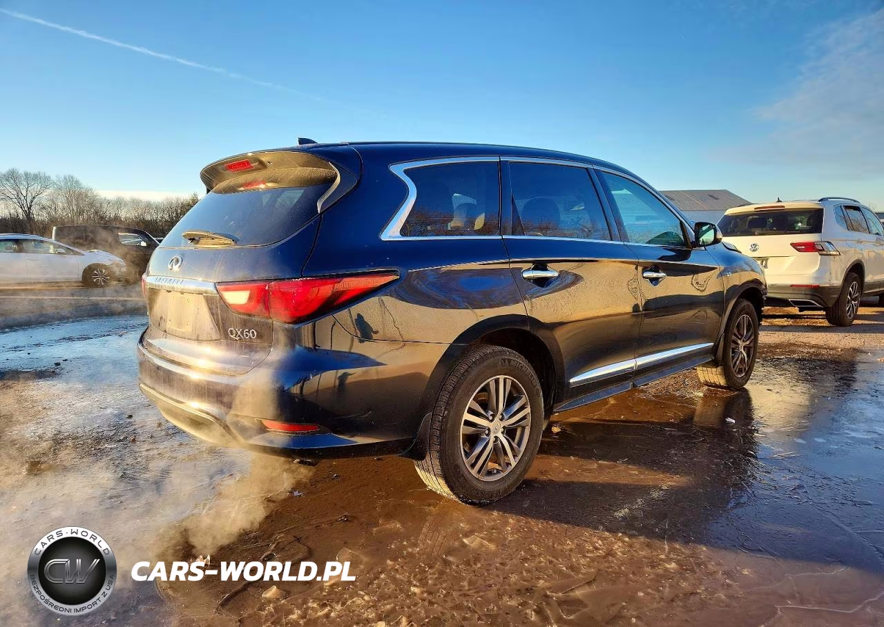 2020 Infiniti Qx60 Pure VIN:5N1DL0MM7LC528929 - 3