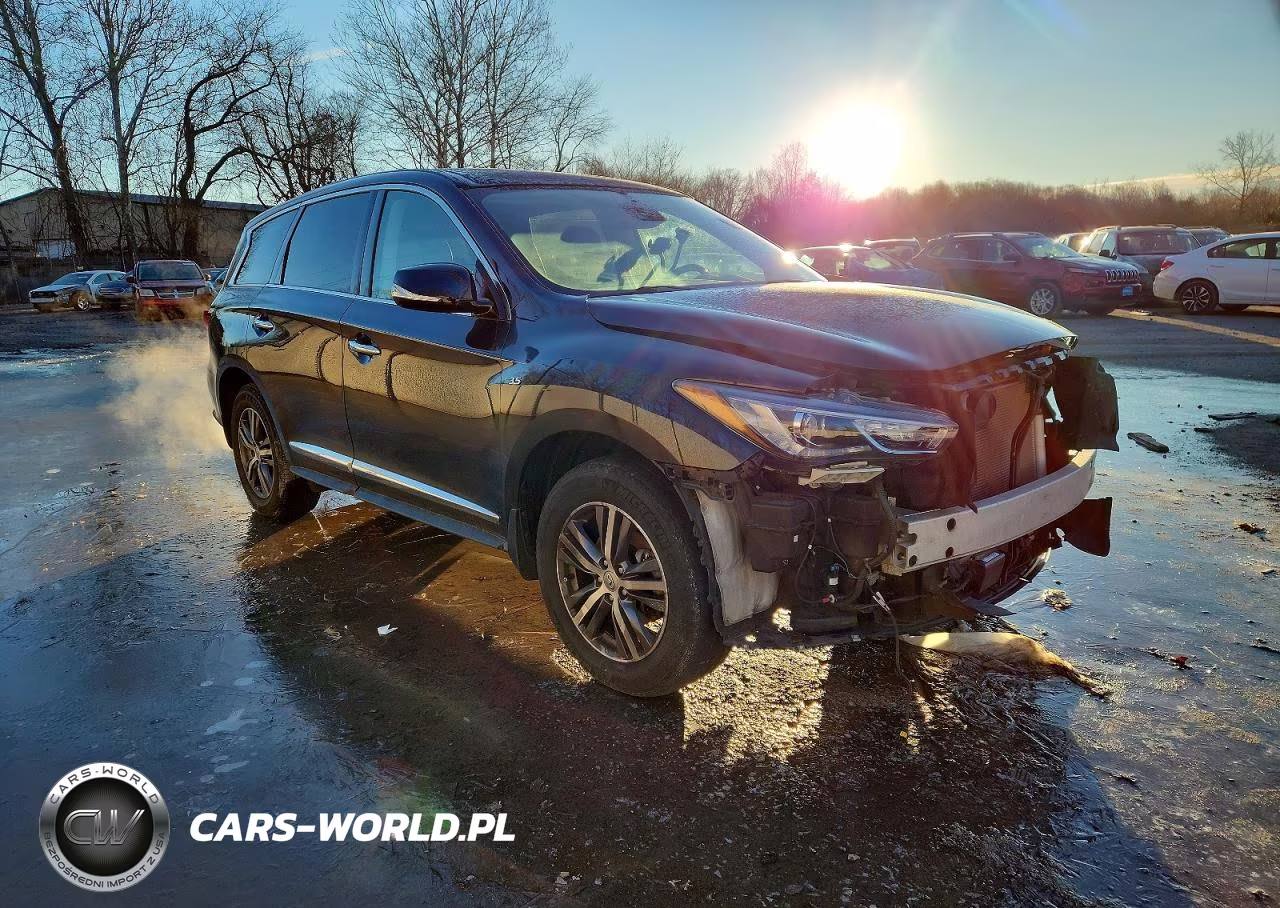 2020 Infiniti Qx60 Pure VIN:5N1DL0MM7LC528929 - 4