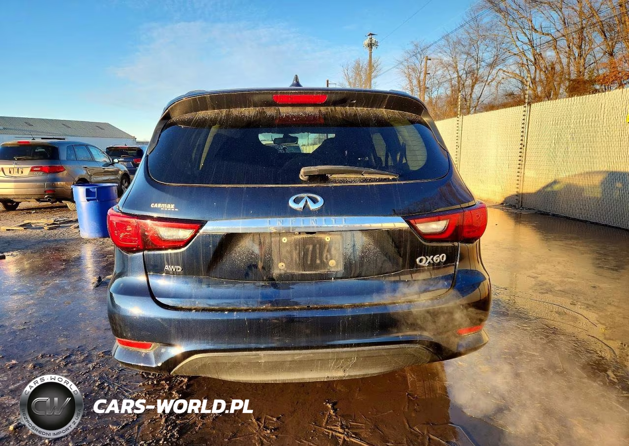 2020 Infiniti Qx60 Pure VIN:5N1DL0MM7LC528929 - 6