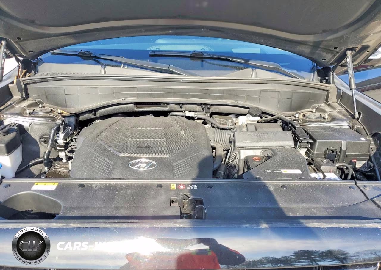 2024 Hyundai Palisade Calligraphy VIN:KM8R7DGE5RU707074 - 11