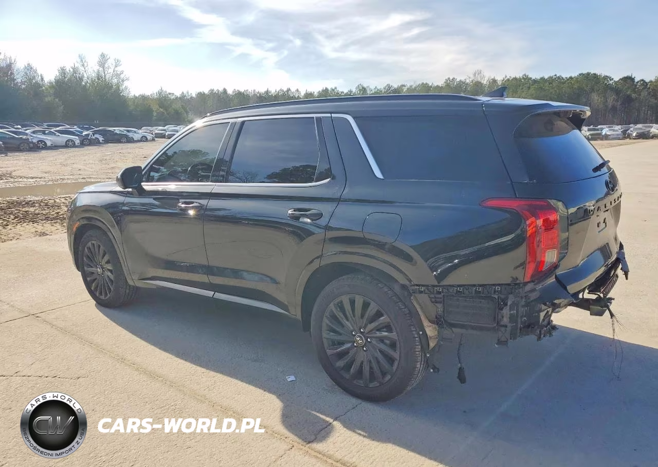 2024 Hyundai Palisade Calligraphy VIN:KM8R7DGE5RU707074 - 2