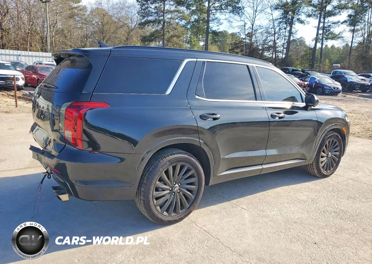 2024 Hyundai Palisade Calligraphy VIN:KM8R7DGE5RU707074 - 3