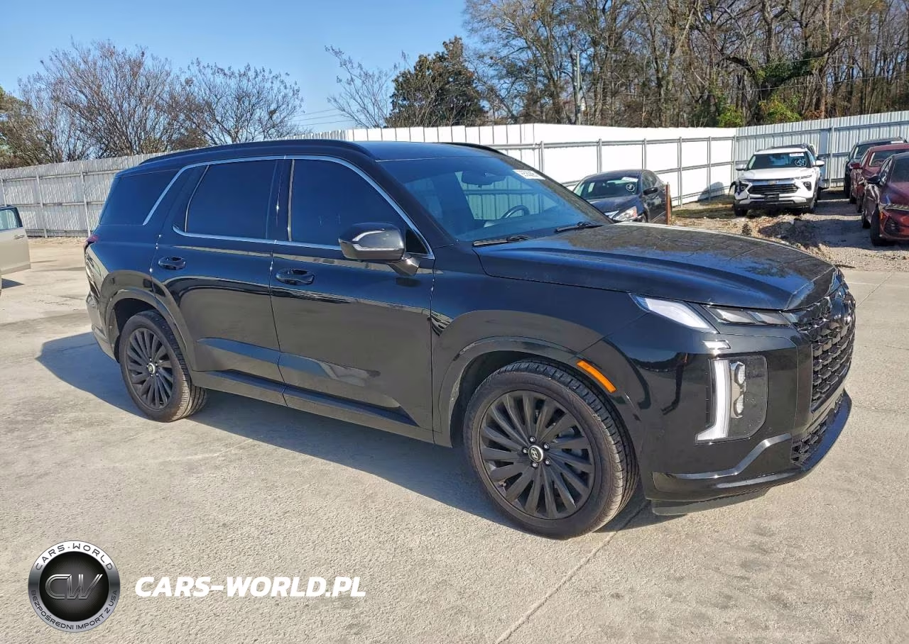 2024 Hyundai Palisade Calligraphy VIN:KM8R7DGE5RU707074 - 4
