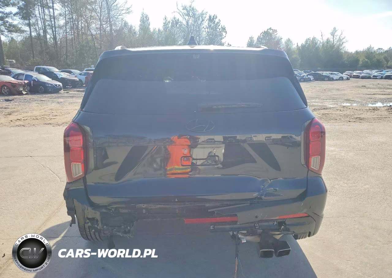 2024 Hyundai Palisade Calligraphy VIN:KM8R7DGE5RU707074 - 6