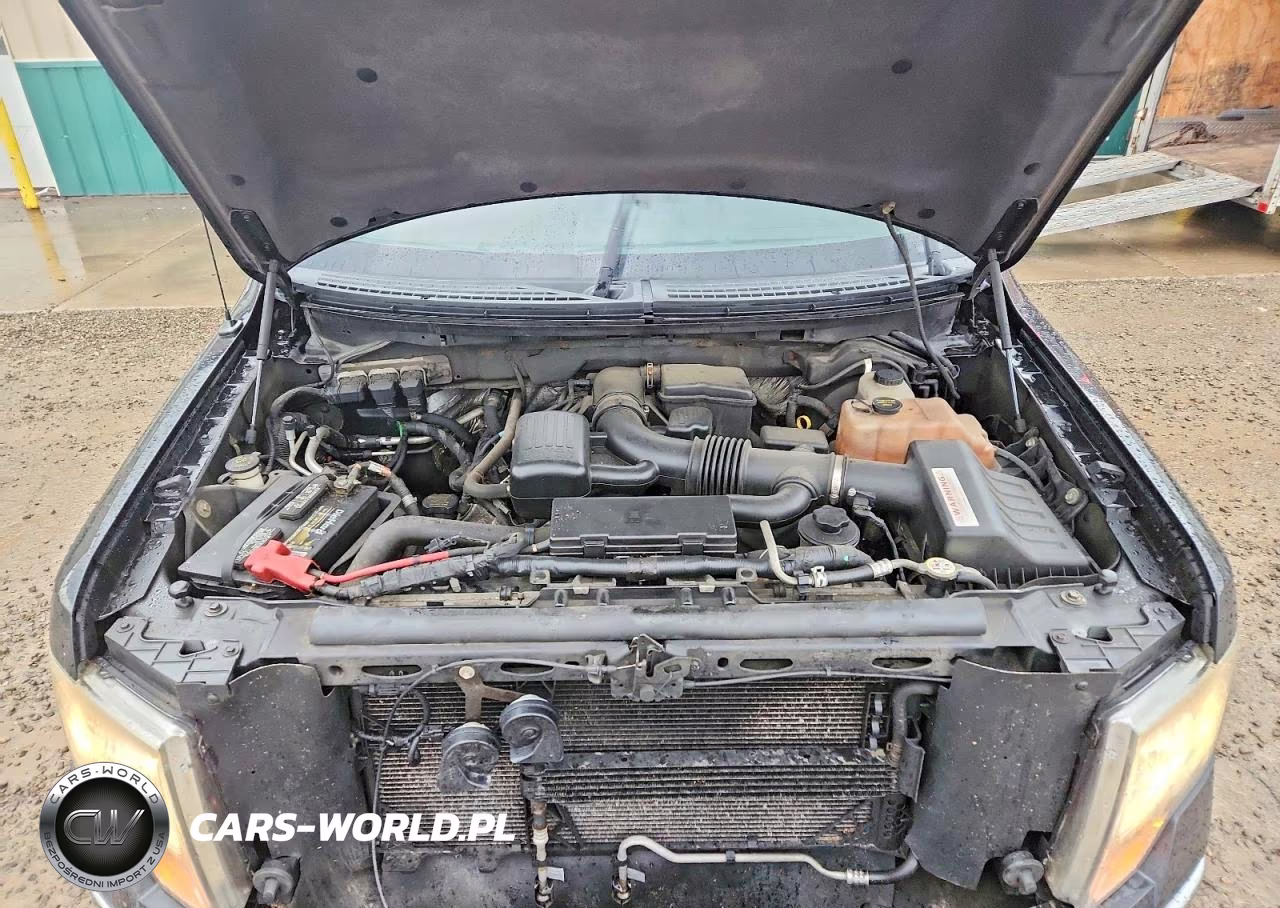 2010 Ford F150 Supercrew VIN:1FTFW1EV3AFB06377 - 11