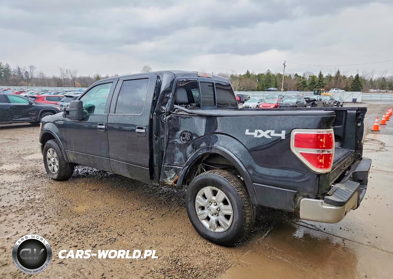 2010 Ford F150 Supercrew VIN:1FTFW1EV3AFB06377 - 2