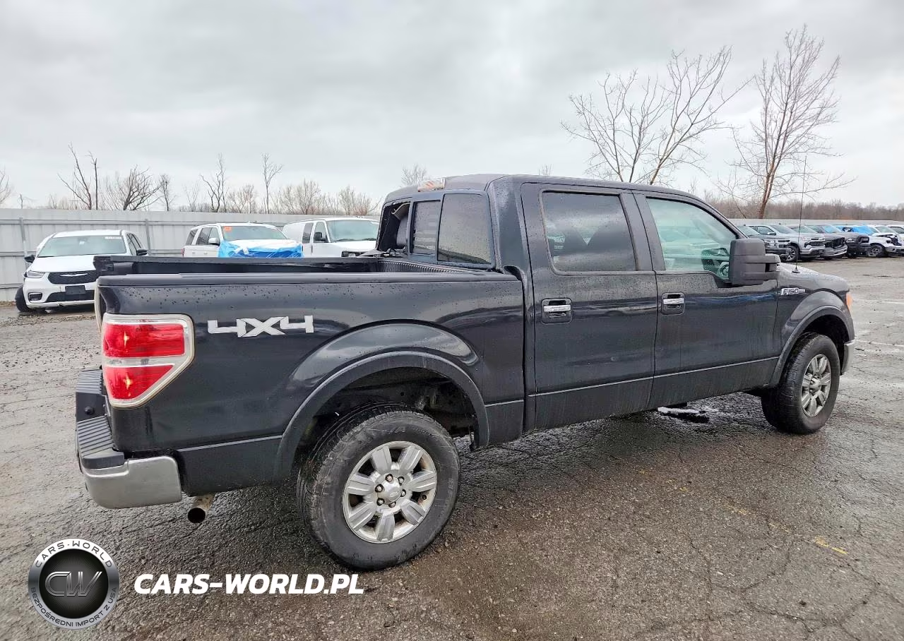 2010 Ford F150 Supercrew VIN:1FTFW1EV3AFB06377 - 3