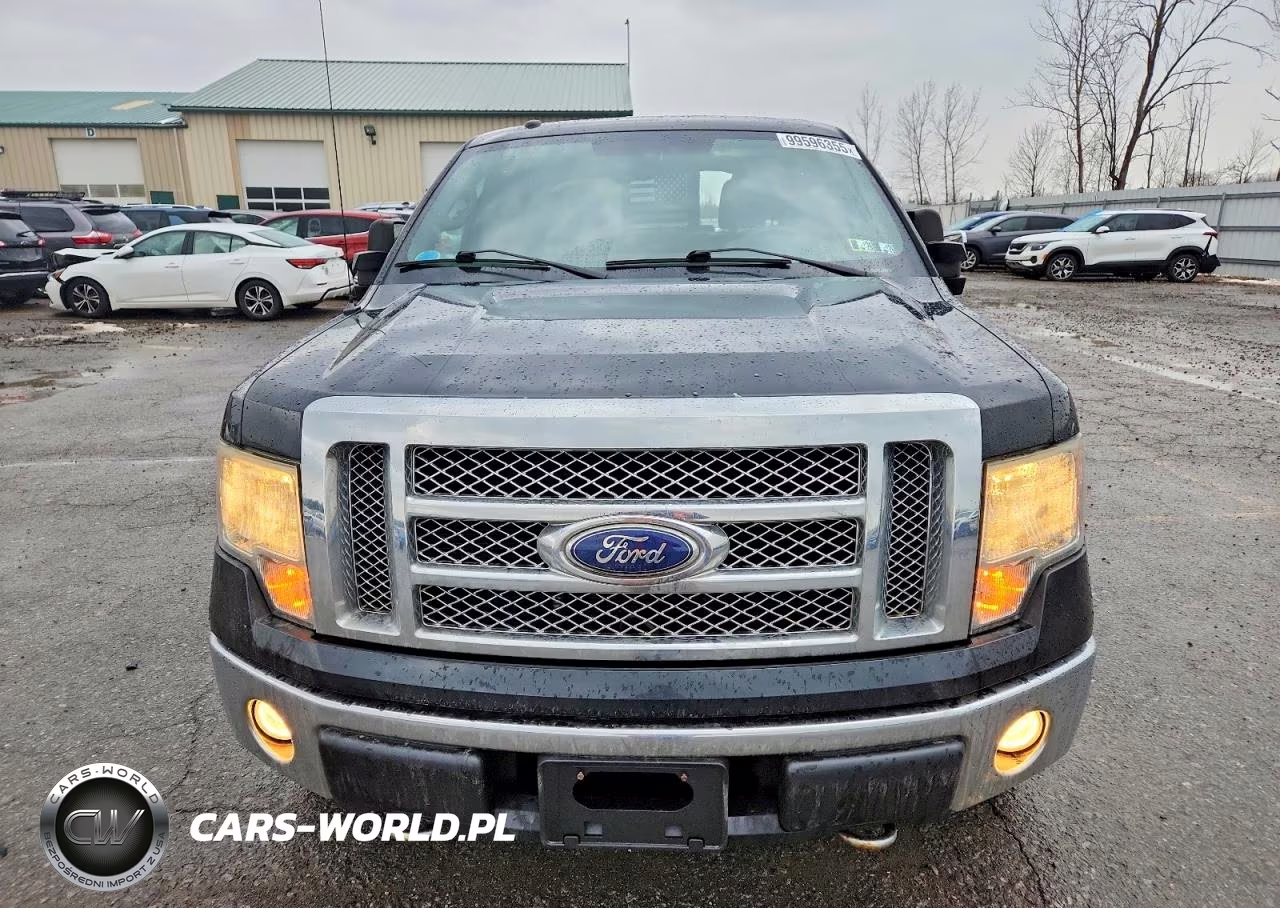 2010 Ford F150 Supercrew VIN:1FTFW1EV3AFB06377 - 5