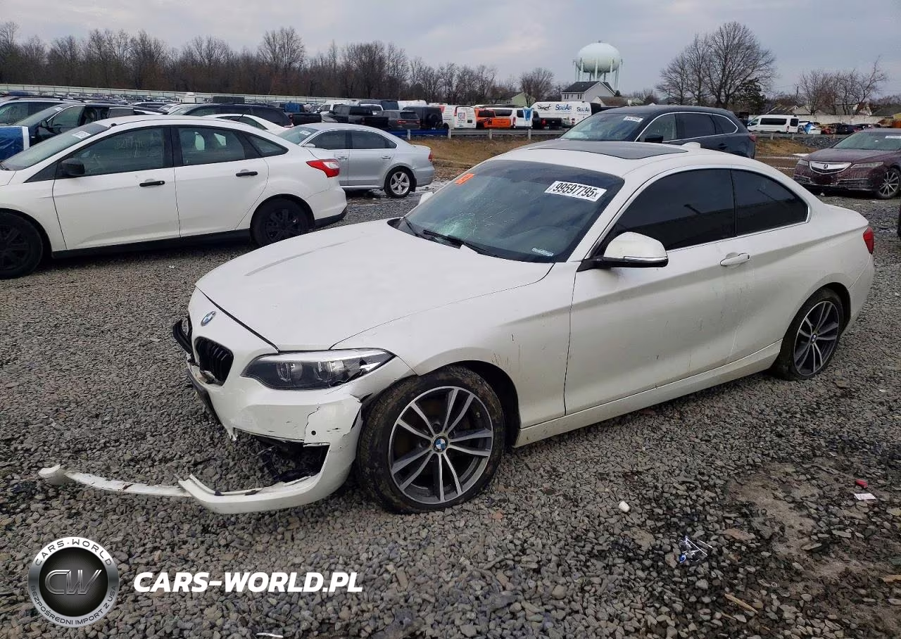 2018 BMW 230Xi