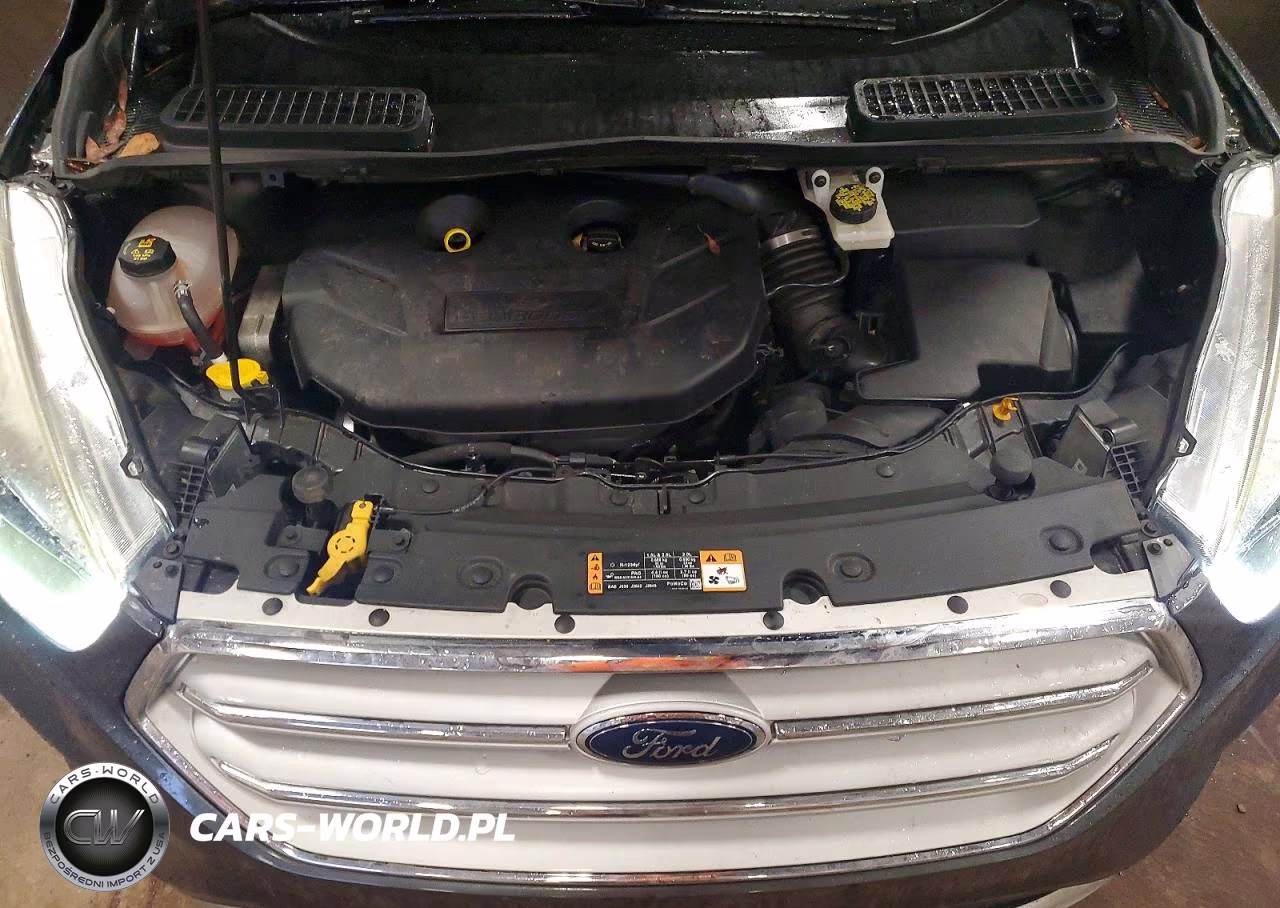 2018 Ford Escape Titanium VIN:1FMCU9J96JUA41421 - 12