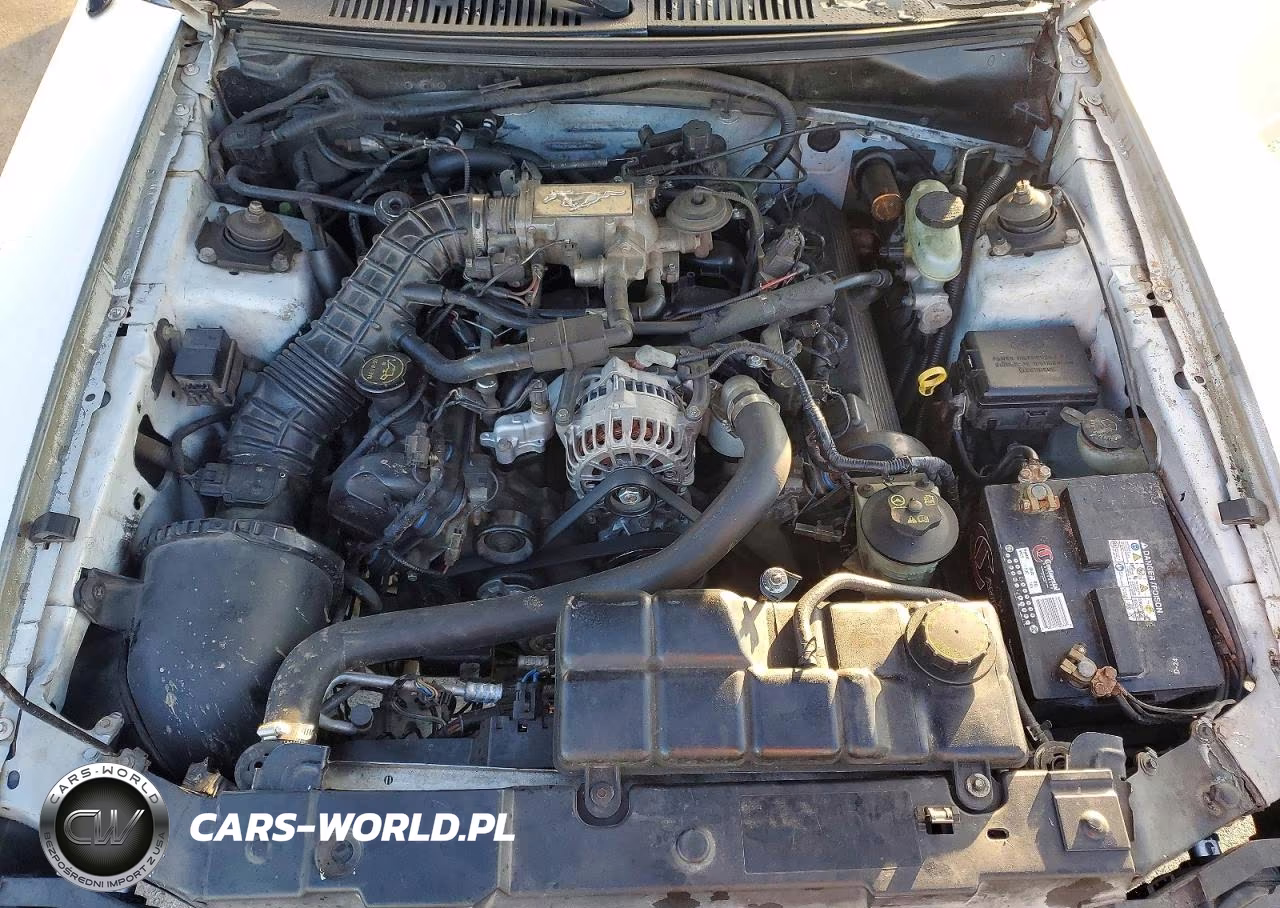 2004 Ford Mustang Gt VIN:1FAFP42X94F109945 - 11