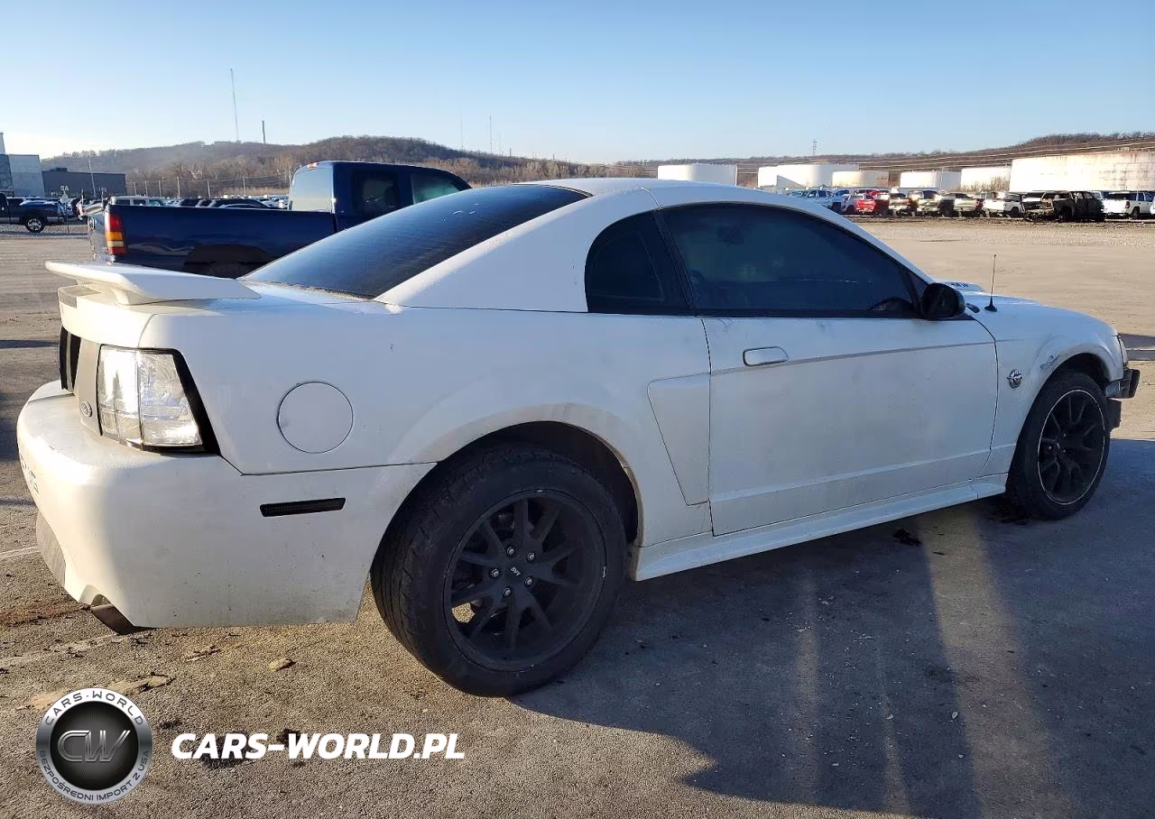 2004 Ford Mustang Gt VIN:1FAFP42X94F109945 - 3