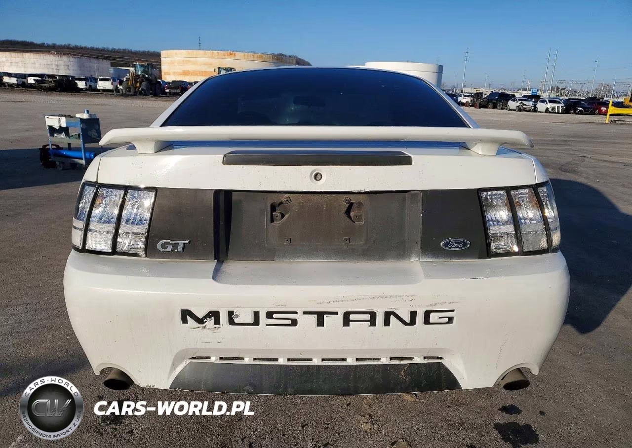 2004 Ford Mustang Gt VIN:1FAFP42X94F109945 - 6