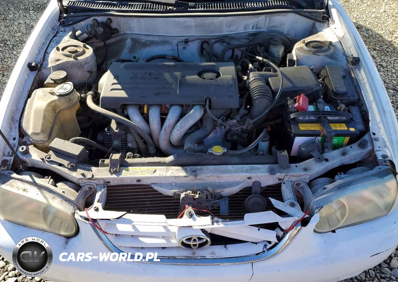 2001 Toyota Corolla Ce VIN:1NXBR12EX1Z507104 - 11