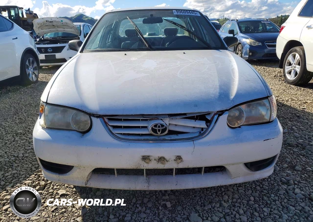2001 Toyota Corolla Ce VIN:1NXBR12EX1Z507104 - 5