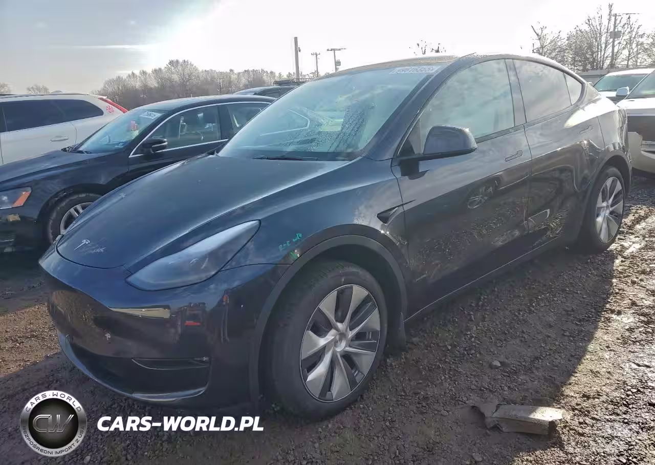 2024 Tesla Model Y