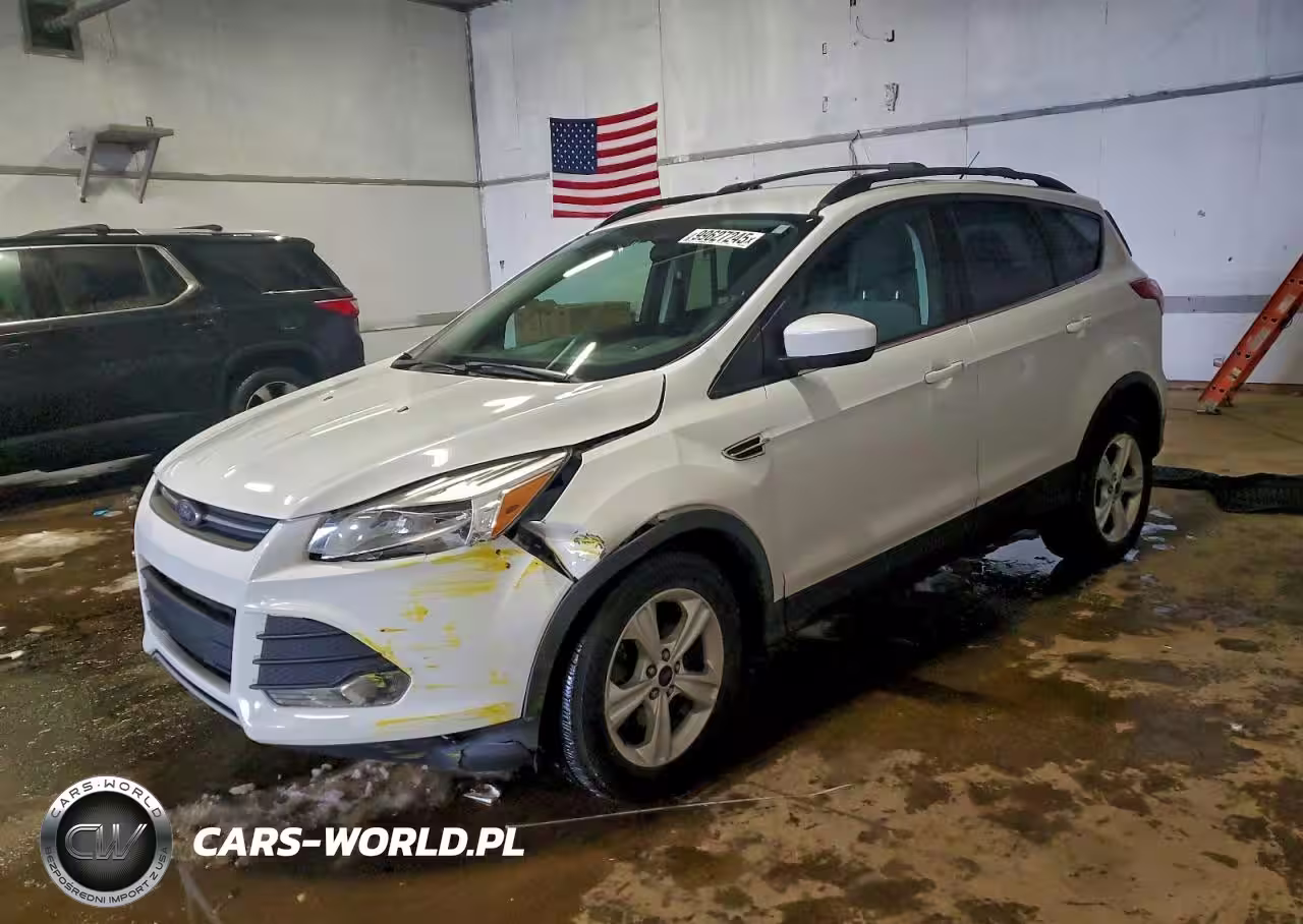 2014 Ford Escape Se