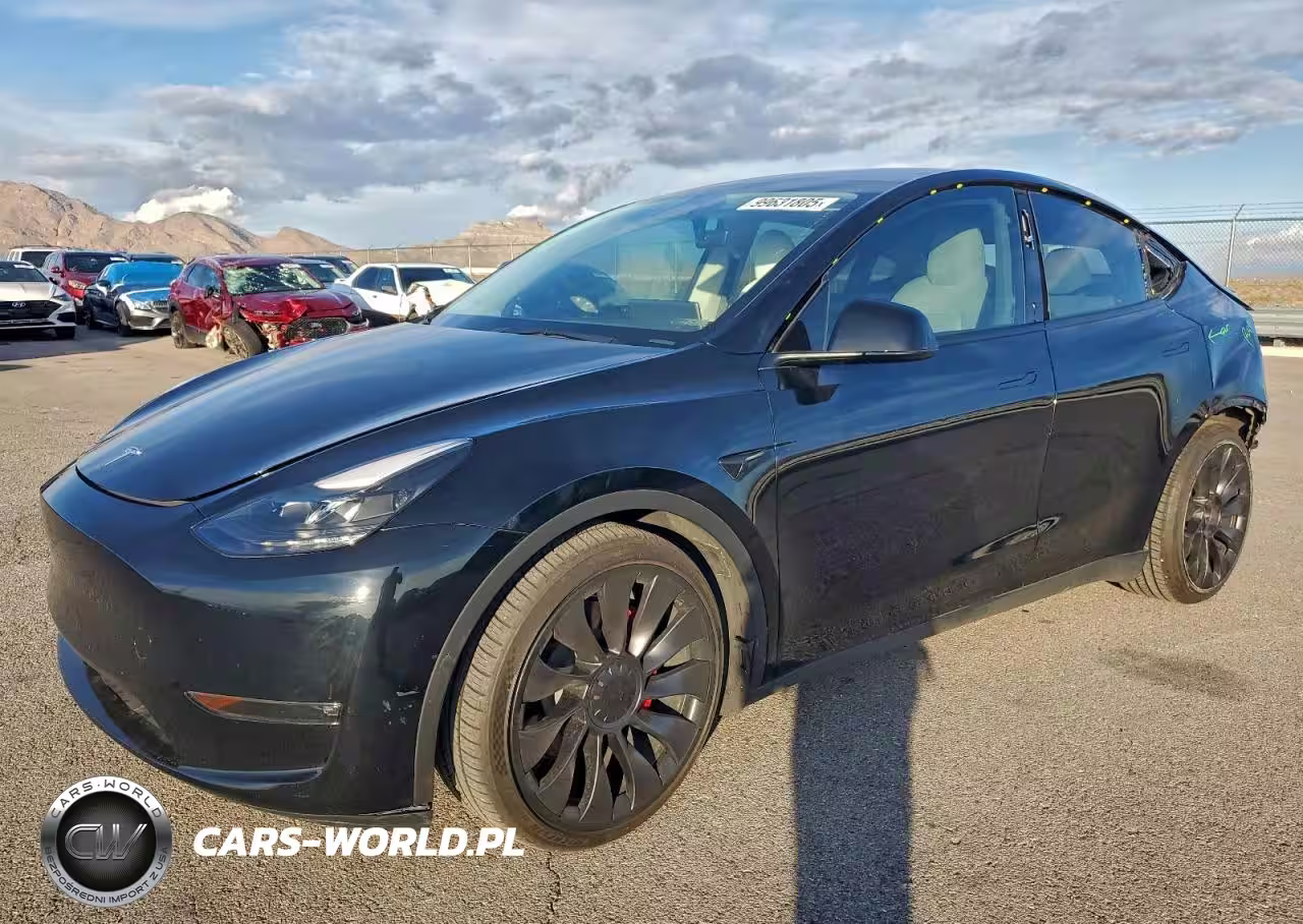 2023 Tesla Model Y