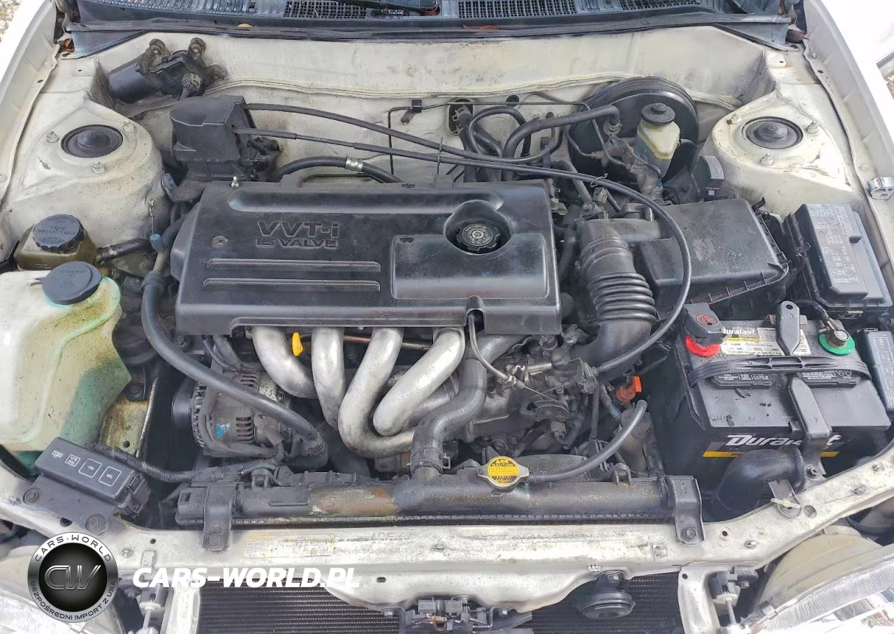 2000 Toyota Corolla Ve VIN:2T1BR12E5YC302592 - 11