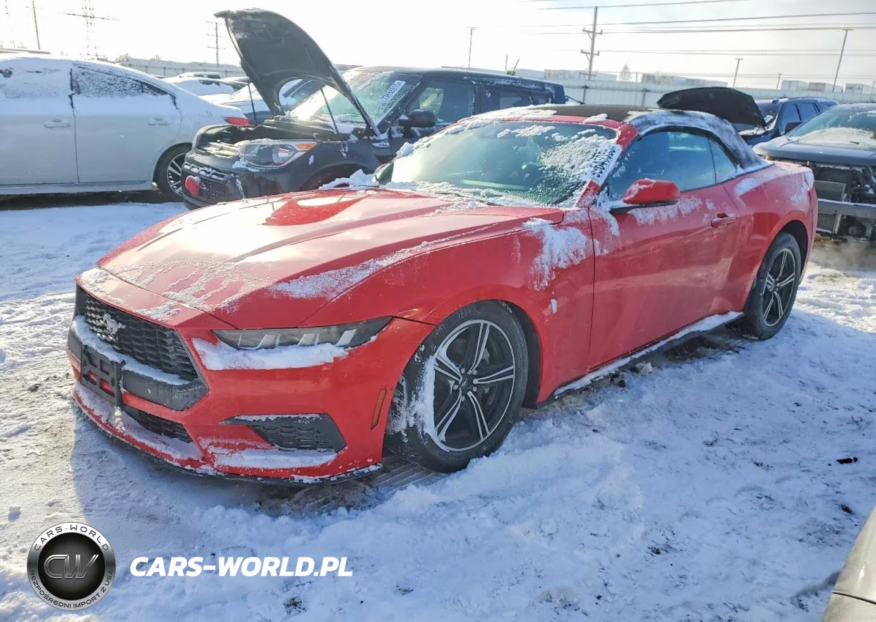 2024 Ford Mustang – zdjęcie 1 z 12