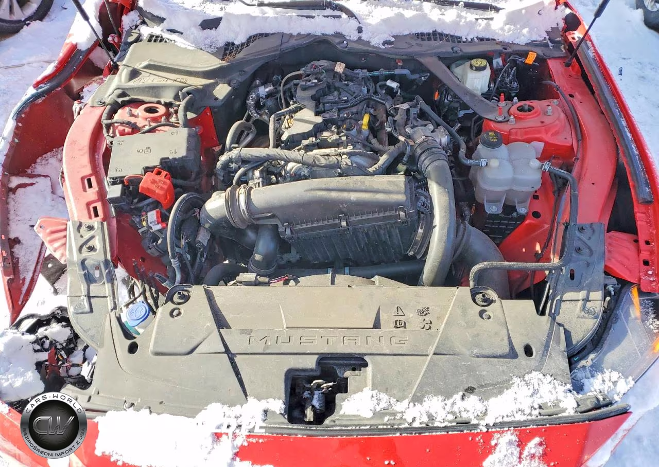 2024 Ford Mustang VIN:1FAGP8UH5R5133545 - 11