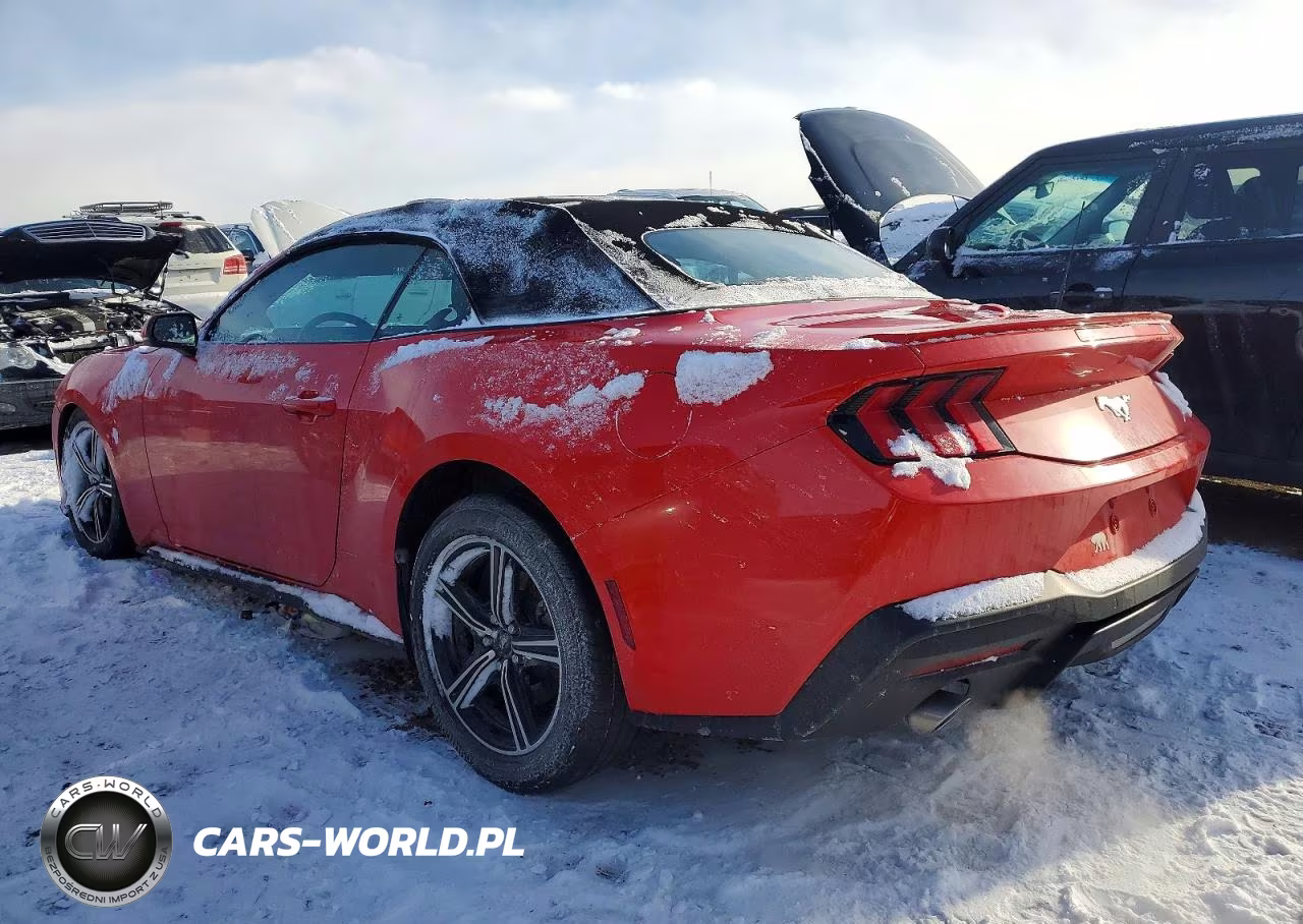 2024 Ford Mustang VIN:1FAGP8UH5R5133545 - 2