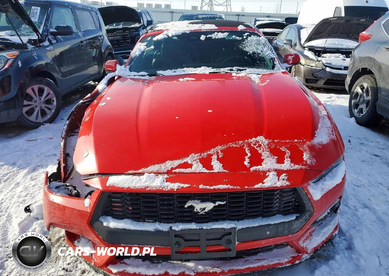 2024 Ford Mustang VIN:1FAGP8UH5R5133545 - 5