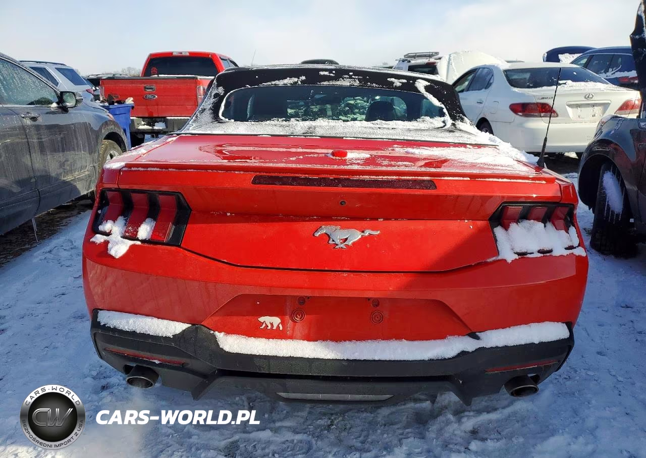 2024 Ford Mustang VIN:1FAGP8UH5R5133545 - 6