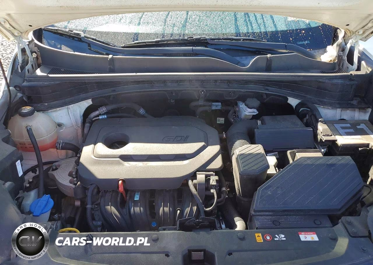2022 Kia Sportage Lx VIN:KNDPM3AC6N7979504 - 12